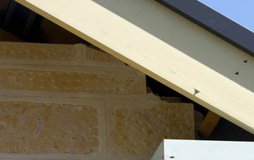 soffit repair Dogsthorpe